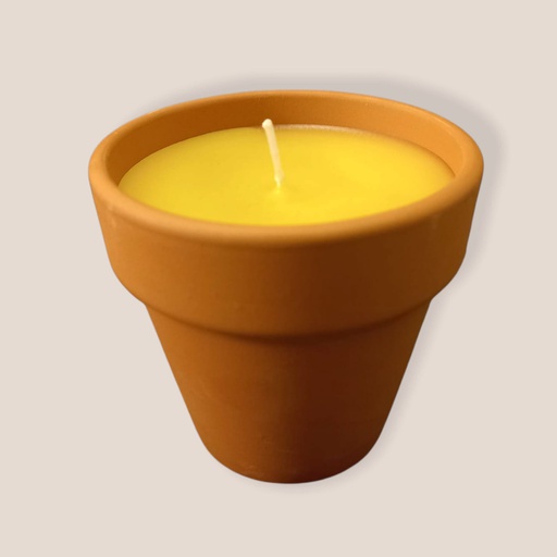 Vela Citronella en Maceta 8cm