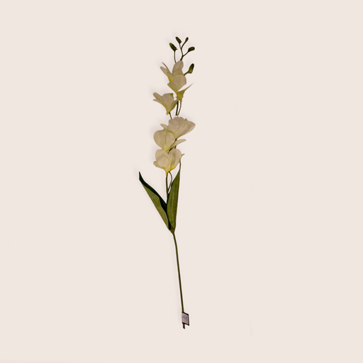 Planta Varilla Flor Blanca 65cm