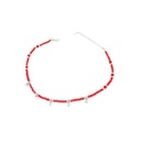 Collar Rojo con Corazones