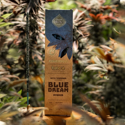 Sahumerio Cannabis THC Blue Dream, Sagrada Madre