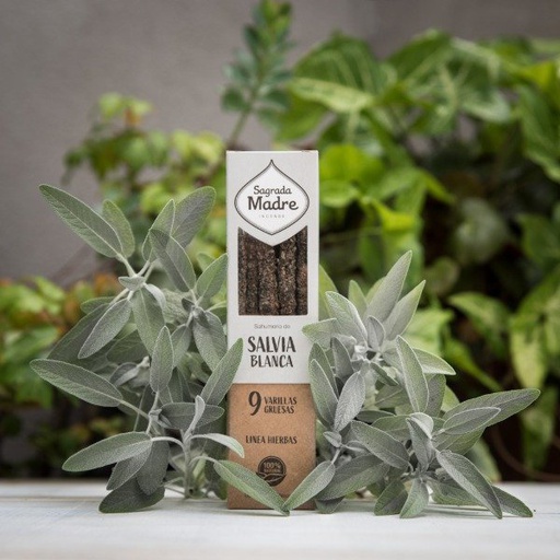Sahumerio Sagrada Madre 9v Salvia Blanca x9u