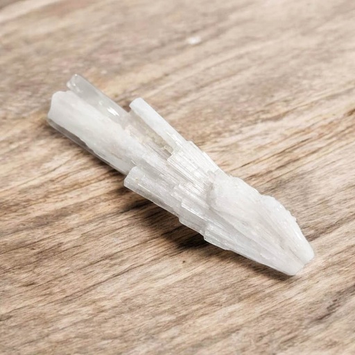 Escolecita 13cm